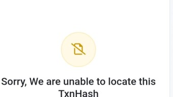 Etherscan Cannot Recognize The Hash