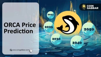 ORCA Price Prediction 2024, 2025, 2030, 2040, And 2050