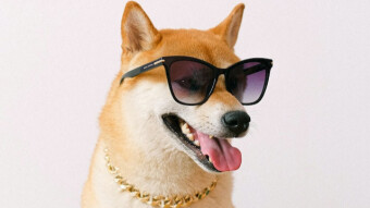 Getting Shiba Inu (SHIB) Through KuCoin: Such Convolution! Much Confuse!