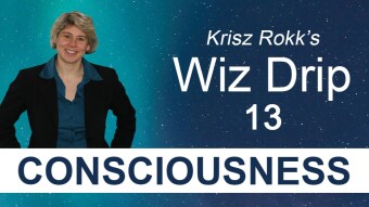 Wiz Drip 13. You Are Not the Labels