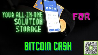Zapit.io: The Bitcoin Cash Wallet with Cutting-Edge Features and High-End Security(soon to release BCH P2P Exchange)
