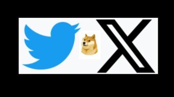 Killing Blue Bird Softly with a Dog and an X: The Journey of Twitter-to-X
