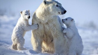 A selection of interesting facts №20