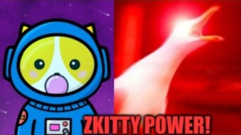 ZKitty DAO NFTs And The Automated Airdrop Farming Service - The Story So Far!