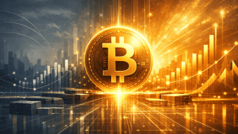 The Year Bitcoin Proved Its Strength and What Comes Next