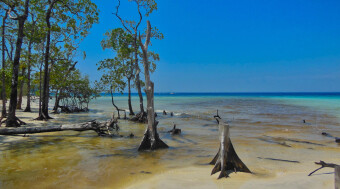 My trip to the Andaman Islands, India