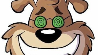 DopeDoge " The Holding Inflation Fast By Through Of DopeDoge Tokens Ownership "