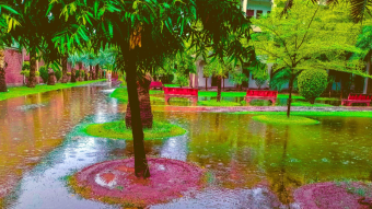 Thursday Walk in Rainy Season—I 'm alive and thriving Challenge—My Actifit Report Card: July 6 2023