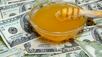 Earn passively with Honeygain! Options, Details, Success