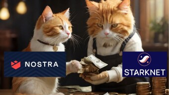 Exploring Nostra Finance: Gamified DeFi and Potential Rewards on Starknet