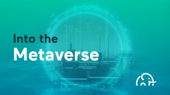 Into the Metaverse