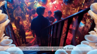 The Mushroom Staircase (Fiction Story)