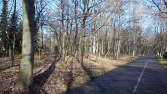 The weather was patchy, the sun only appeared for a moment, but still a decent temperature for January