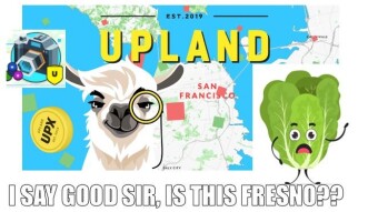 Ever Uplandward! My First SanFran Buy + Lessons and Tips from Life as a Citizen
