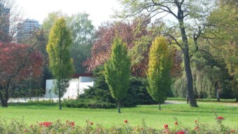 Return to the park and walk along the beaten path - My Actifit Report Card: October 14 2022