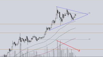 XRP finally to the moon? Ripple moonboys fasten your seatbelt!