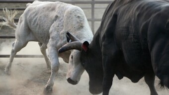 Avoid these three Mistakes I have made during the last Bull-Run
