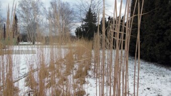 Cold, windy but sunny - My Actifit Report Card: February 4 2023