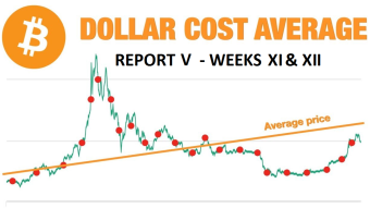Great DCA experiment - report V (week 11-12)