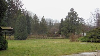 A gray and gloomy day, but suitable for a walk - My Actifit Report Card: February 19 2024