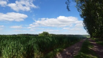 A very dynamic and windy Sunday - My Actifit Report Card: July 28 2024