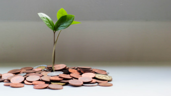 Is Yield Farming the Ultimate Crypto Passive income Side Hustle? - Is it Worth The Risk?