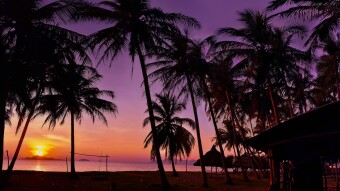 TRON to Issue Dominica's Own Coin