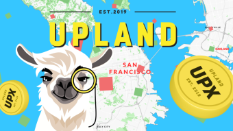 Upland in the Heart of India, the city of culture Delhi