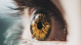 Through Your Lens.