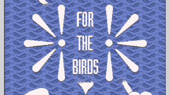 For The Birds! Free Pigeon NFTs