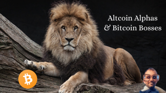 Altcoin Alphas and Bitcoin Bosses - How to Maximize Gains in the 2025 Crypto Gold Rush