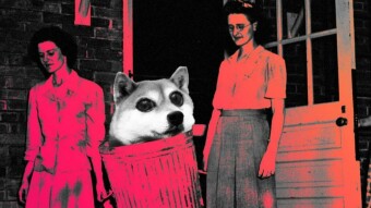 Shiba Inu Coin Burn Goes On: 134M SHIB Removed
