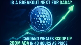 Cardano Whales Scoop Up 200M ADA in 48 Hours as Price Echoes Past Bull Run, Is a Breakout Next?
