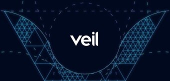 VEIL Project - Detailed Review
