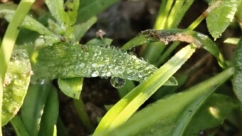 WATER DROPS Photography.