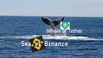 USDT whales add to Binance's USDT treasury