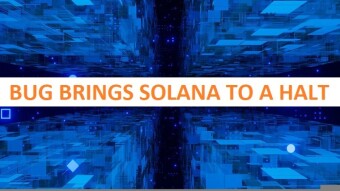 Bug brings SOLANA to a halt