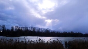 Classic Early Spring - My Actifit Report Card: February 24, 2026
