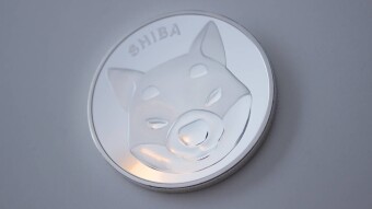 Shiba Inu Surpasses 1.1 Million Holders
