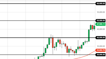 The Institutional Herd will Push Bitcoin to $60K and Above (2/12/21 Forecast)