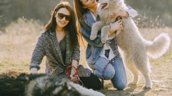 [70] Three sisters and two female dogs…(Episode - 16)