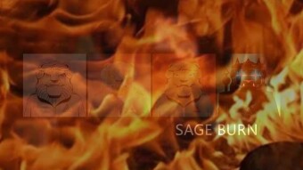 BAT Launches "Sage Burn" the Final Phase of the BAT x Adam Ape Brave NFT Collection