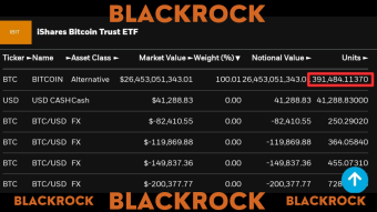 BlackRock’s BTC Mountain Hits 391K! Can They Reach 500K by 2025?