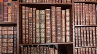 Il bibliotecario francese: cap. XIX parte seconda