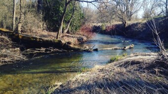 Fishing for Riches, The True Value