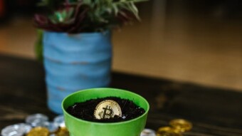 Crypto Impact On The Environment