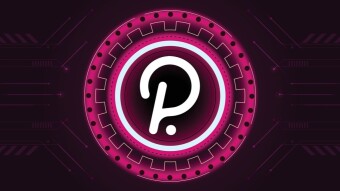 Price Prediction 2021: How High Polkadot will go?