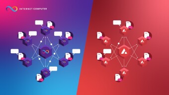 Subnets For Blockchain Scalability: Avalanche vs Internet Computer