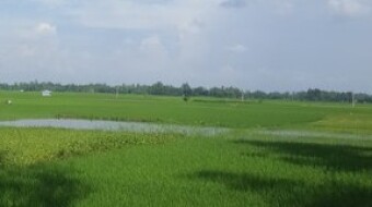 Photography in the Green Nature of the Village