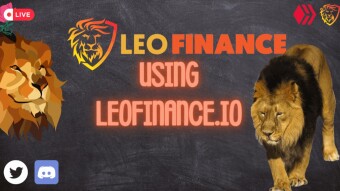 Using Leofinance.io